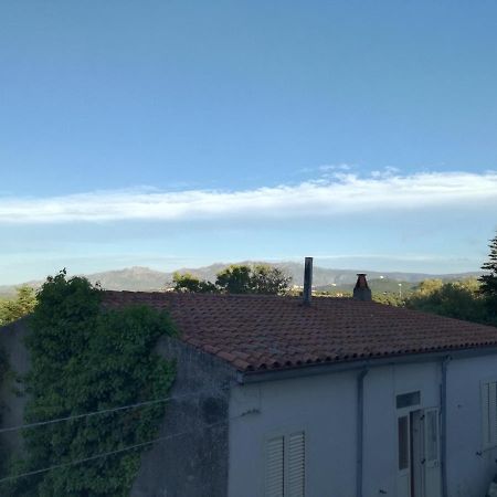 Ferienwohnung Monti Di Bo Aggius Exterior foto