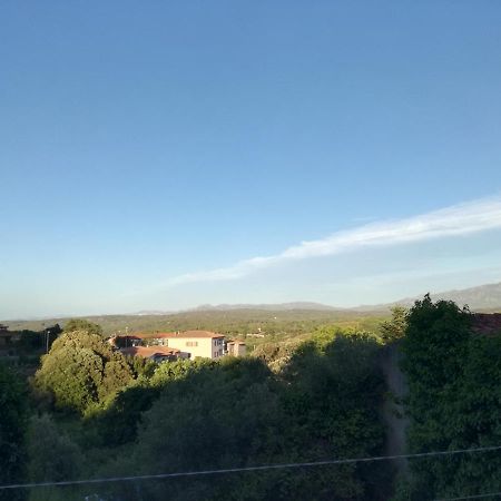 Ferienwohnung Monti Di Bo Aggius Exterior foto
